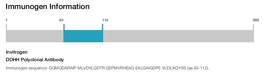 DOHH Polyclonal Antibody
