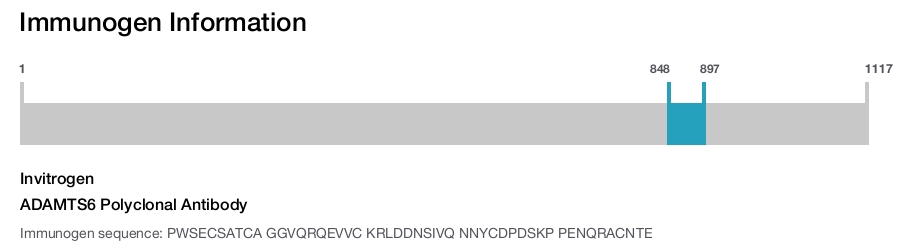 ADAMTS6 Polyclonal Antibody