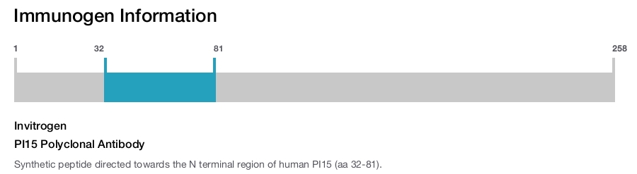 PI15 Polyclonal Antibody