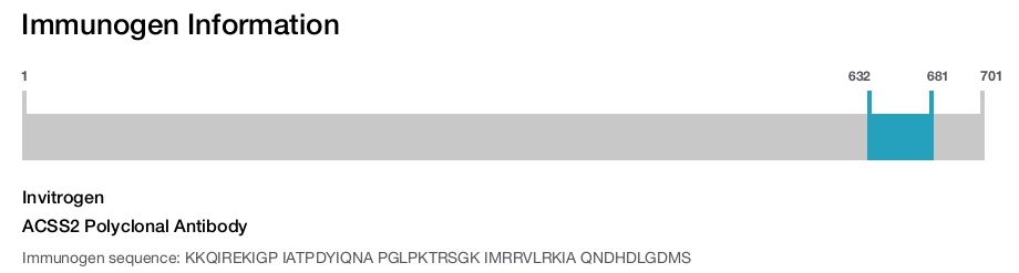 ACSS2 Polyclonal Antibody