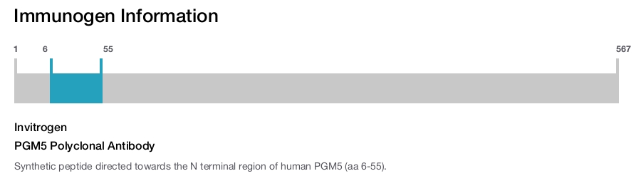 PGM5 Polyclonal Antibody