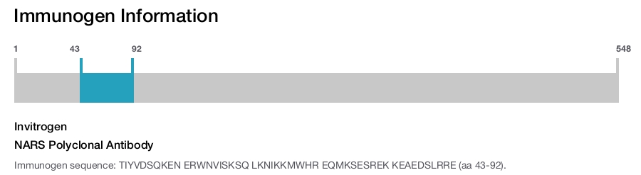 NARS Polyclonal Antibody