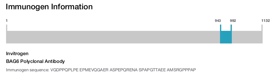 BAG6 Polyclonal Antibody