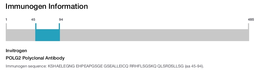 POLG2 Polyclonal Antibody
