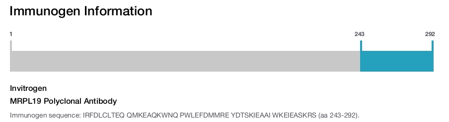 MRPL19 Polyclonal Antibody