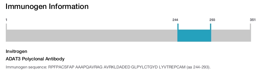 ADAT3 Polyclonal Antibody