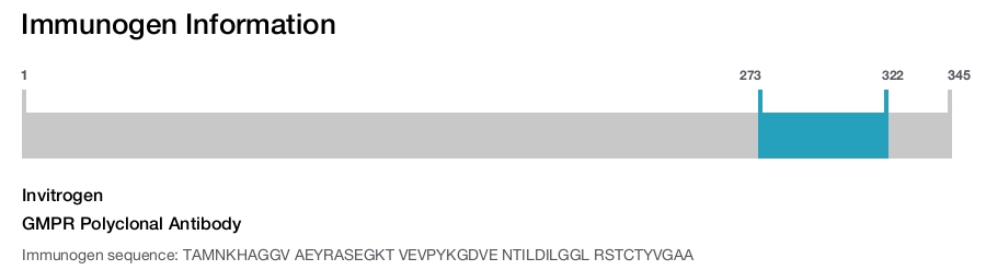 GMPR Polyclonal Antibody