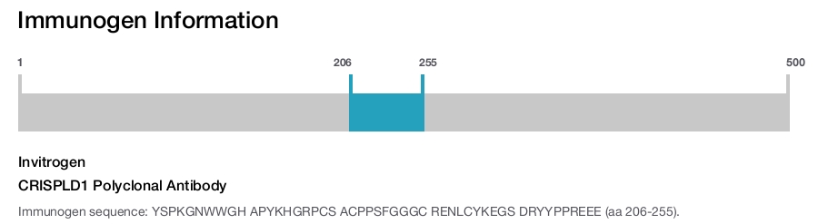 CRISPLD1 Polyclonal Antibody