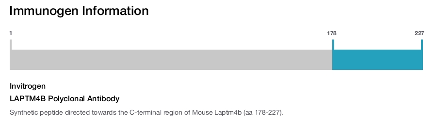 LAPTM4B Polyclonal Antibody