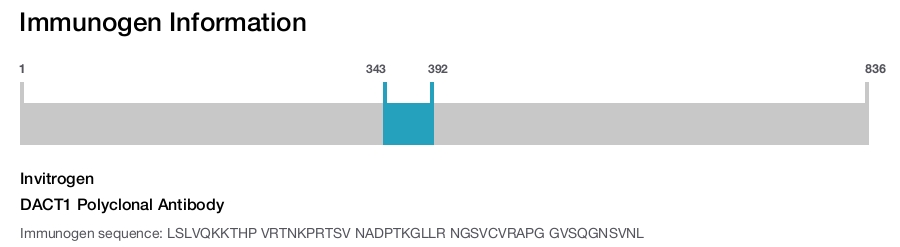 DACT1 Polyclonal Antibody