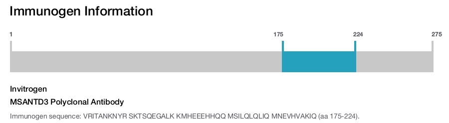 MSANTD3 Polyclonal Antibody