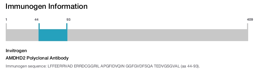 AMDHD2 Polyclonal Antibody