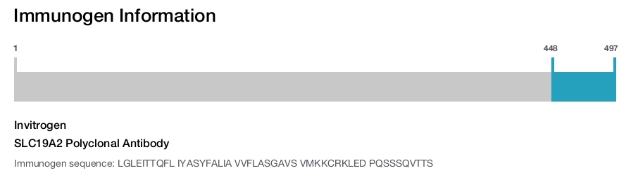 SLC19A2 Polyclonal Antibody