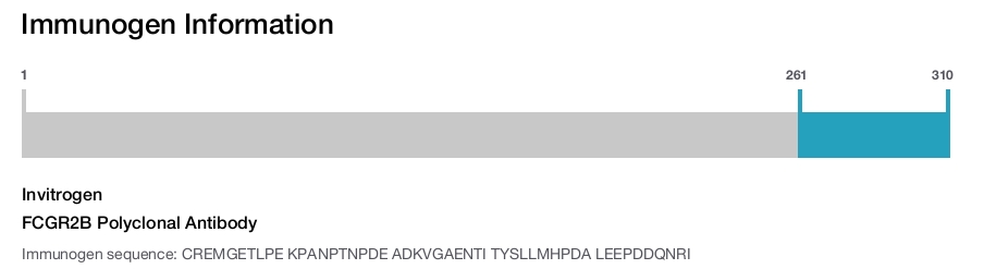 FCGR2B Polyclonal Antibody
