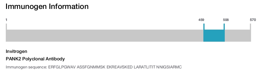 PANK2 Polyclonal Antibody