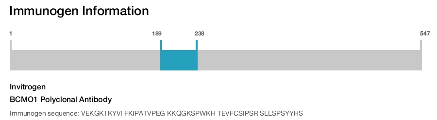 BCMO1 Polyclonal Antibody
