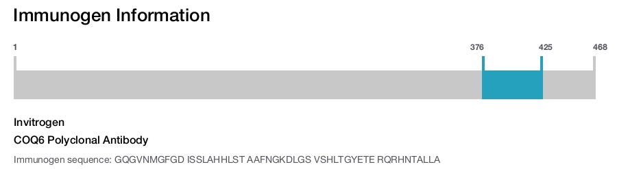 COQ6 Polyclonal Antibody