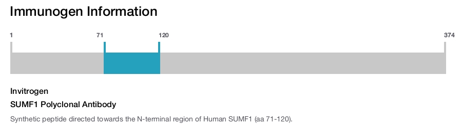 SUMF1 Polyclonal Antibody