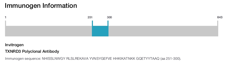TXNRD3 Polyclonal Antibody