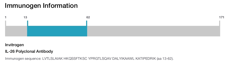 IL-26 Polyclonal Antibody