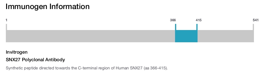 SNX27 Polyclonal Antibody