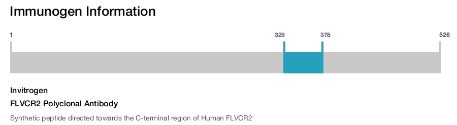 FLVCR2 Polyclonal Antibody