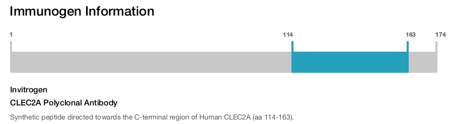 CLEC2A Polyclonal Antibody