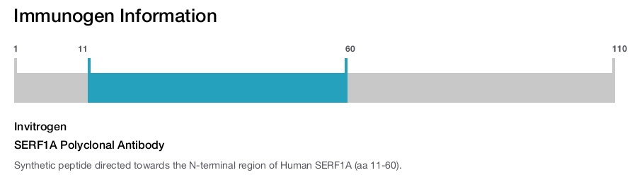 SERF1A Polyclonal Antibody