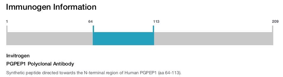 PGPEP1 Polyclonal Antibody
