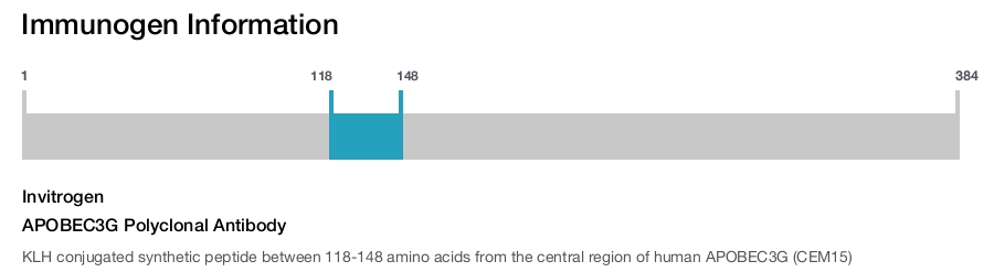 APOBEC3G Polyclonal Antibody