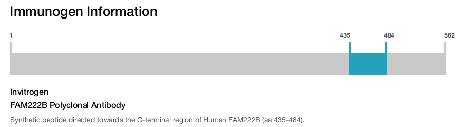 FAM222B Polyclonal Antibody