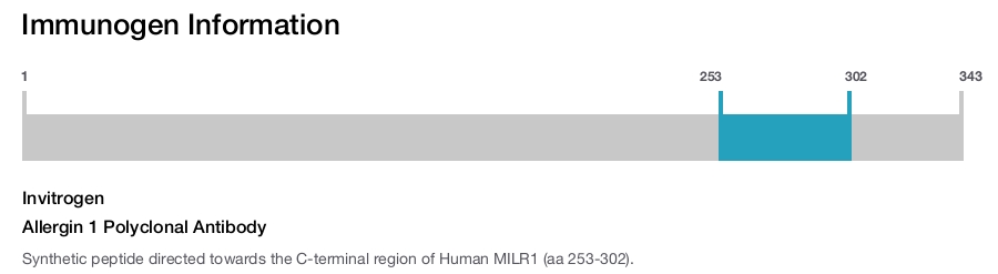 Allergin 1 Polyclonal Antibody