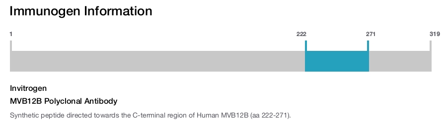 MVB12B Polyclonal Antibody