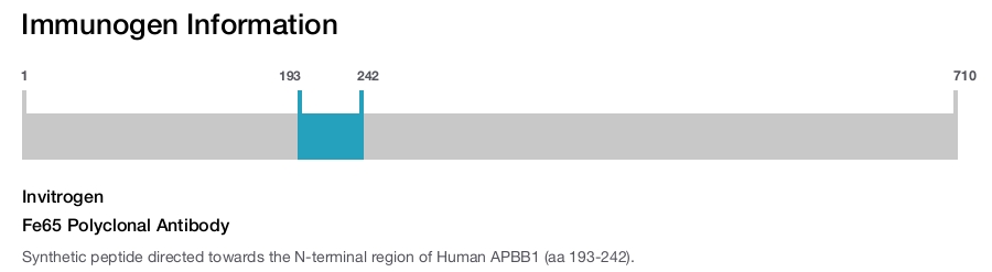Fe65 Polyclonal Antibody