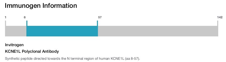 KCNE1L Polyclonal Antibody