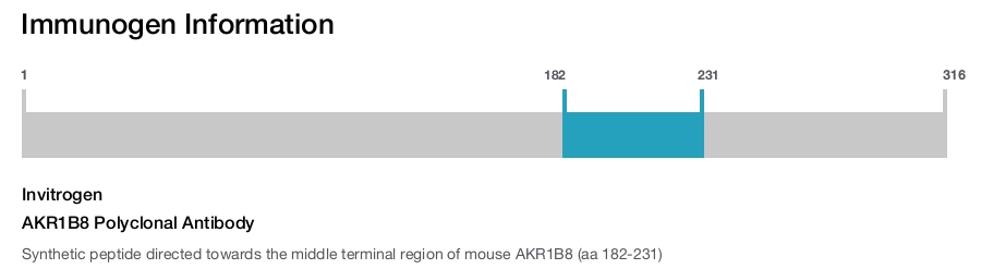 AKR1B8 Polyclonal Antibody