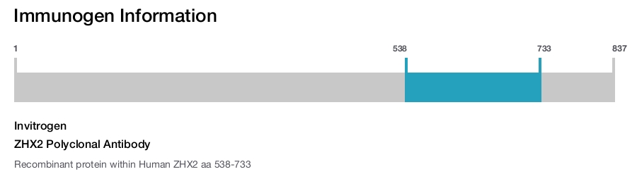 ZHX2 Polyclonal Antibody