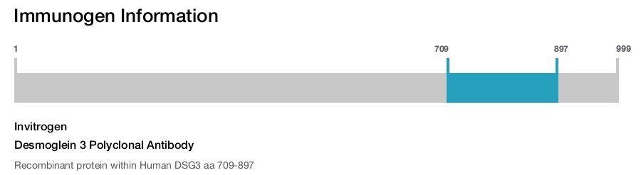 Desmoglein 3 Polyclonal Antibody