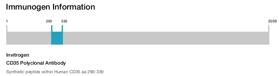 CD35 Polyclonal Antibody
