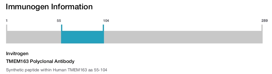 TMEM163 Polyclonal Antibody