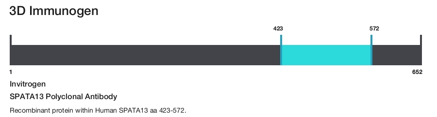 SPATA13 Polyclonal Antibody