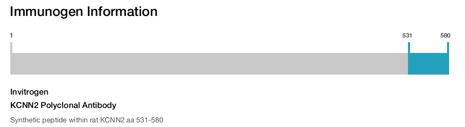 KCNN2 Polyclonal Antibody