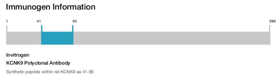 KCNK9 Polyclonal Antibody