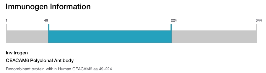 CEACAM6 Polyclonal Antibody
