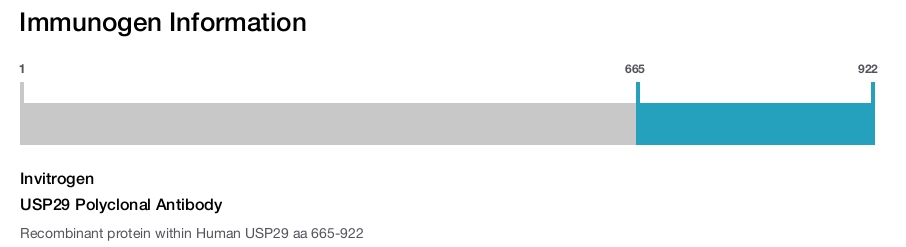 USP29 Polyclonal Antibody