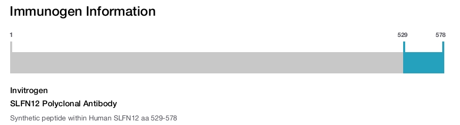 SLFN12 Polyclonal Antibody