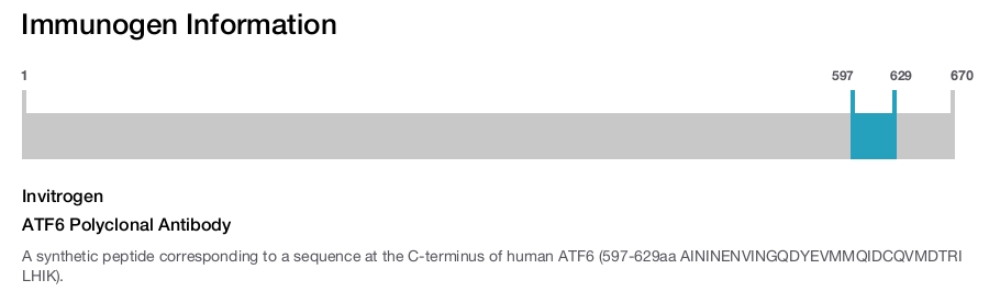 ATF6 Polyclonal Antibody