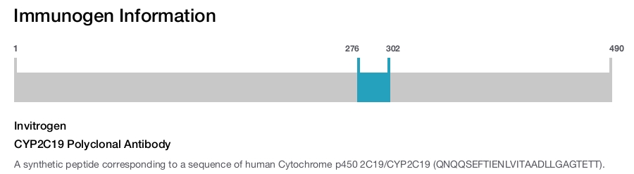 CYP2C19 Polyclonal Antibody