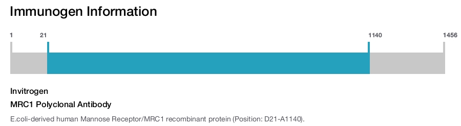 MRC1 Polyclonal Antibody