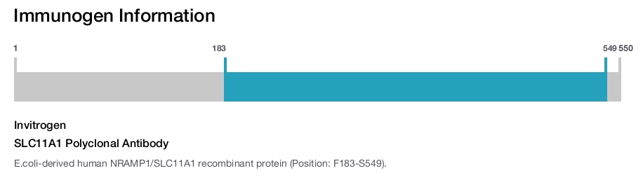 SLC11A1 Polyclonal Antibody